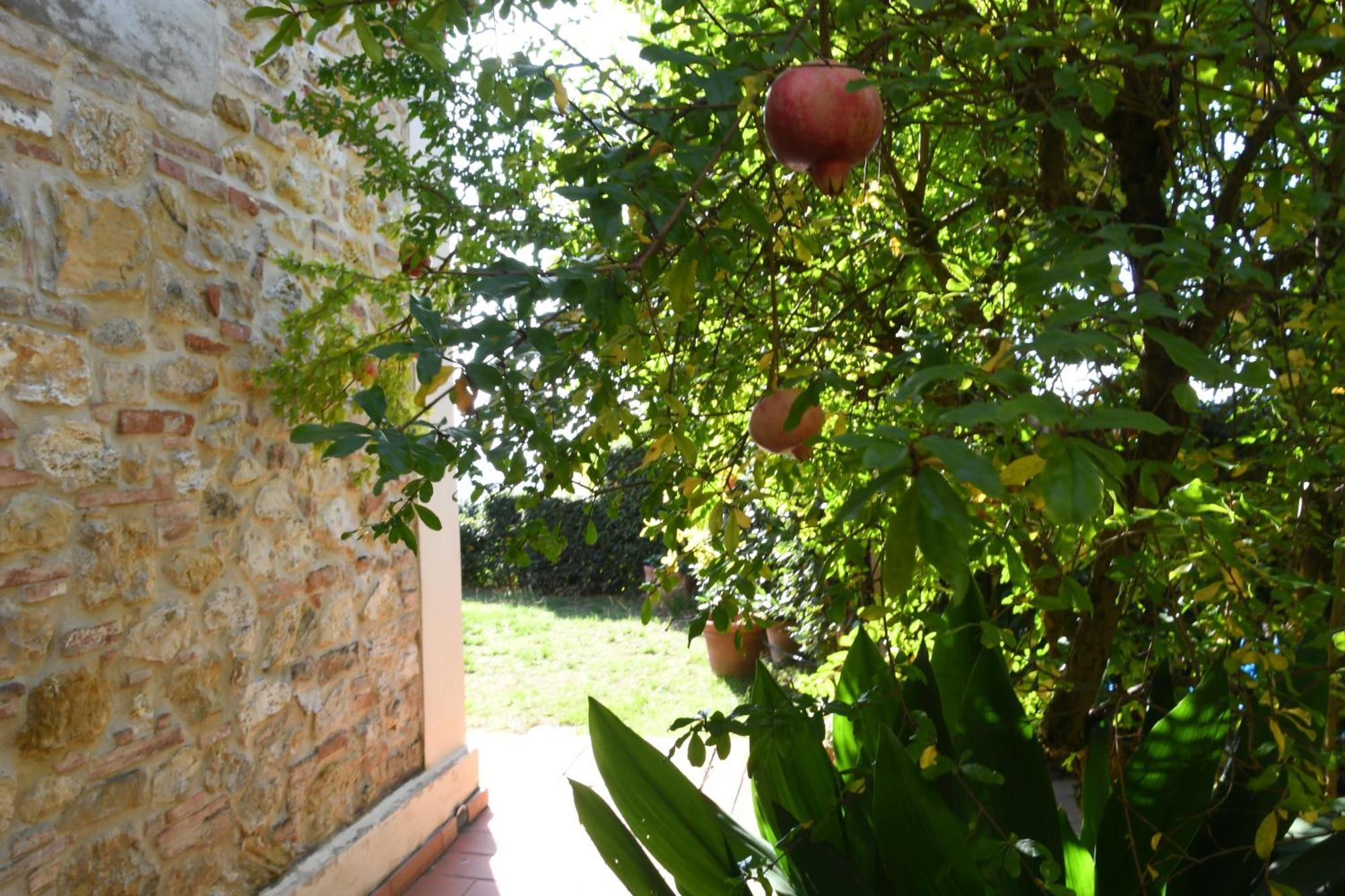 Podere Le Monache Montaione Exterior foto